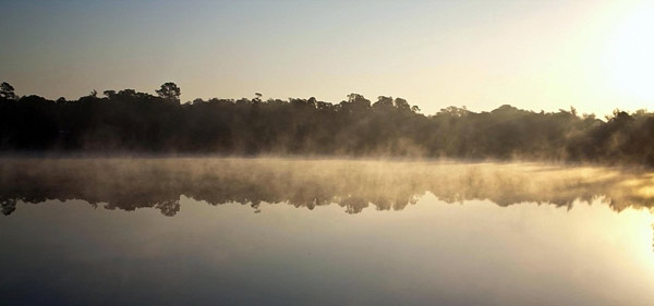 Dancing Peacock Paradise photo by Azore
